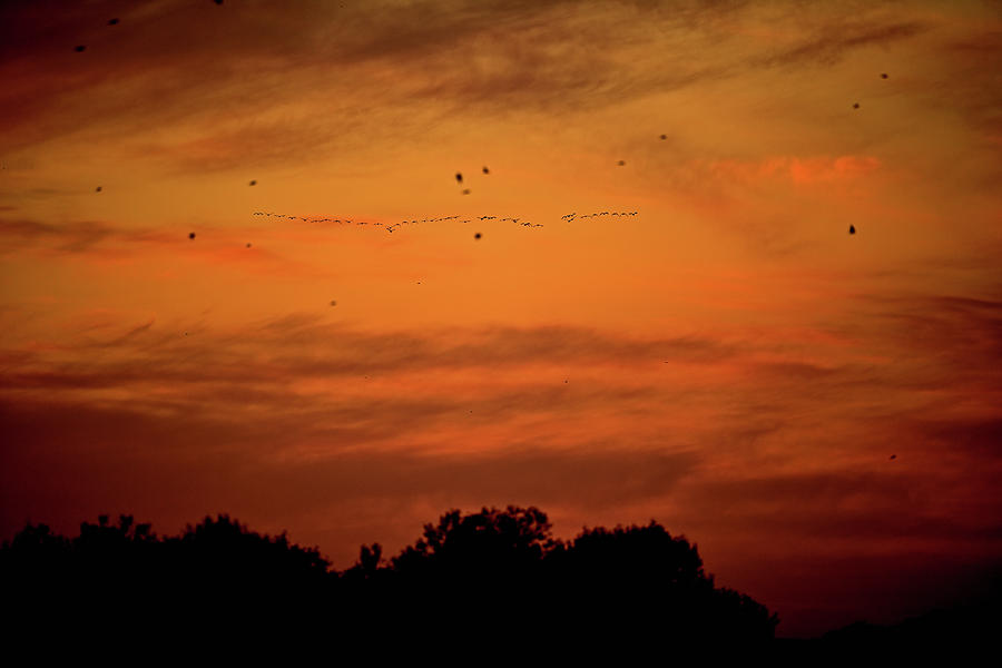 Evening Sky Over St Louis NWR Photograph by Amazing Action Photo Video