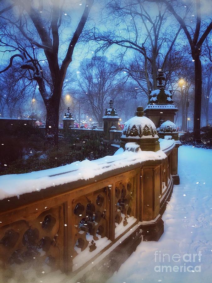 Evening Snow - Central Park New York Photograph by Miriam Danar