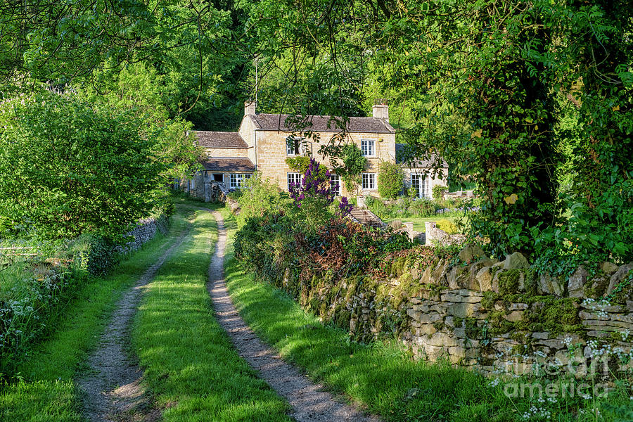 Spring Photograph - Evening Spring Sunlight in the Cotswold Village of Turkdean by Tim Gainey