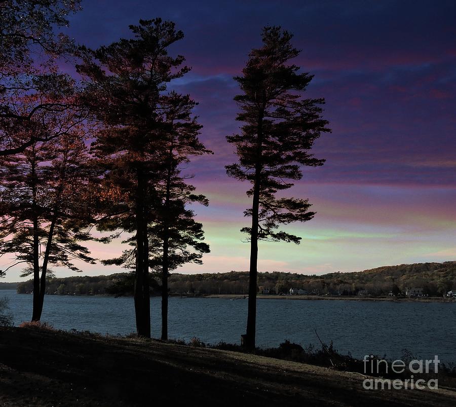 Evening Sunset Photograph by Marcia Lee Jones