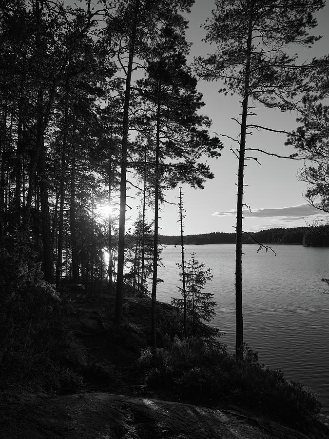Evening tones at lake Matilda. Teijo National Park Photograph by Jouko Lehto