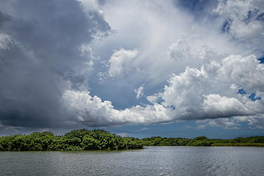 Everglades 0257 Photograph by Rudy Umans