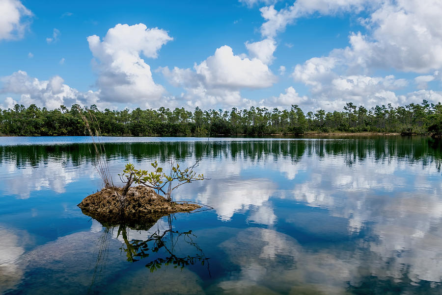 Everglades 0347 Photograph by Rudy Umans