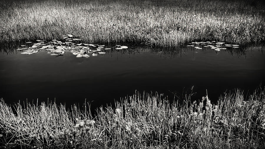 Everglades Canal in Black and White Photograph by Rudy Umans