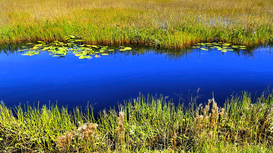 Everglades Canal in Color Photograph by Rudy Umans