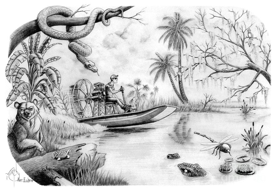 Everglades Florida drawing Drawing by Murphy Elliott