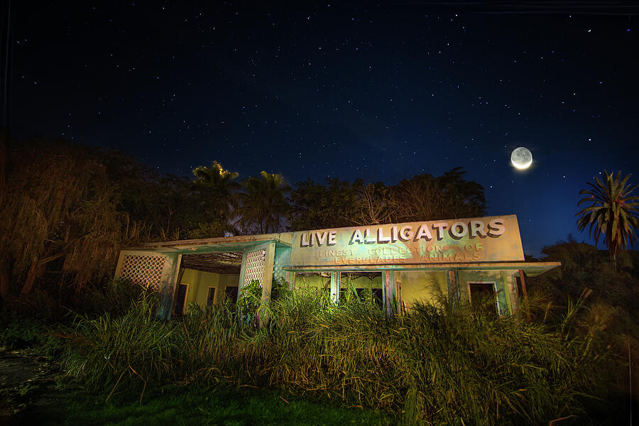 Everglades Gatorland Abandoned Roadside Attraction Photograph