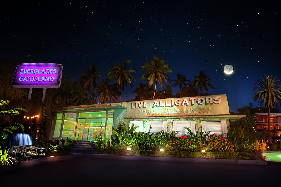 Everglades Gatorland Collectors Edition Photograph by Mark Andrew Thomas