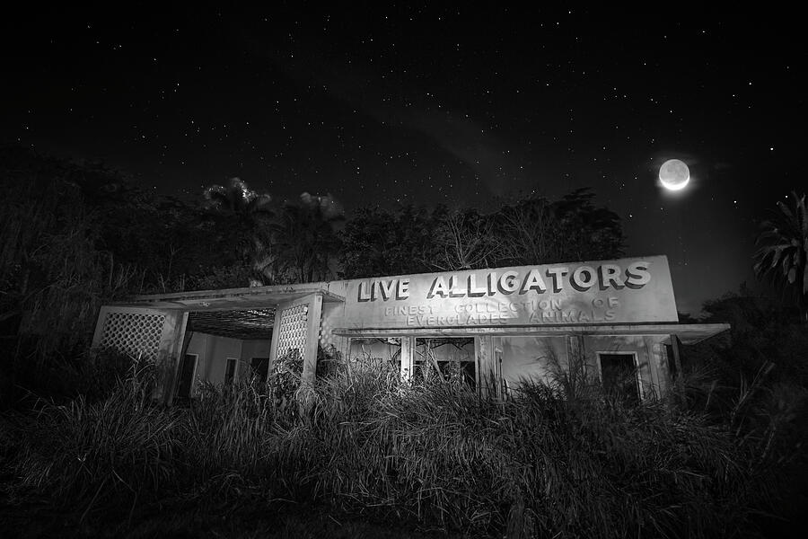 Everglades Gatorland Ruins Photograph