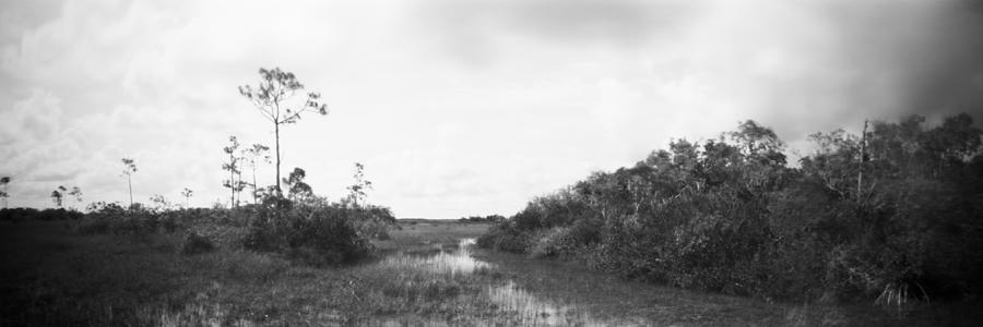 Everglades Gumbo Limbo Trail-1 Photograph