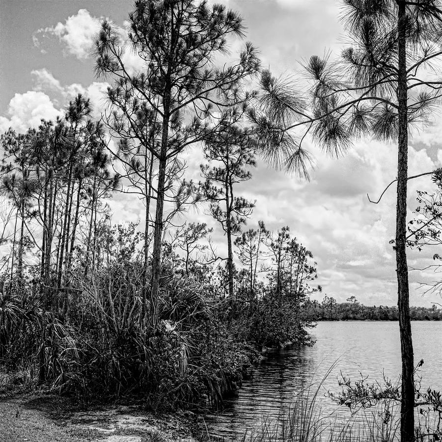 Everglades Lake 041901 Photograph by Rudy Umans