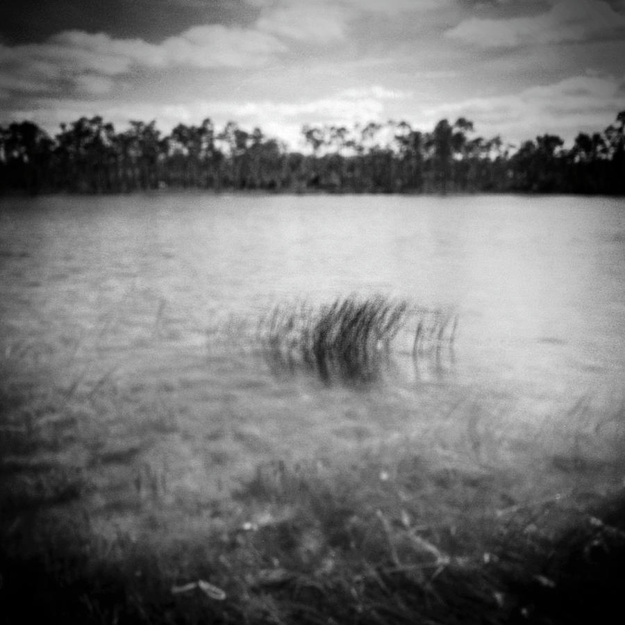 Everglades Lake -16bw Photograph