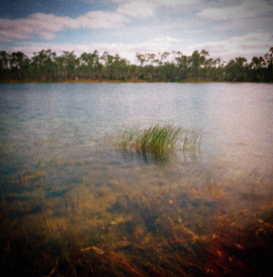 Everglades Lake -16Color Photograph by Rudy Umans