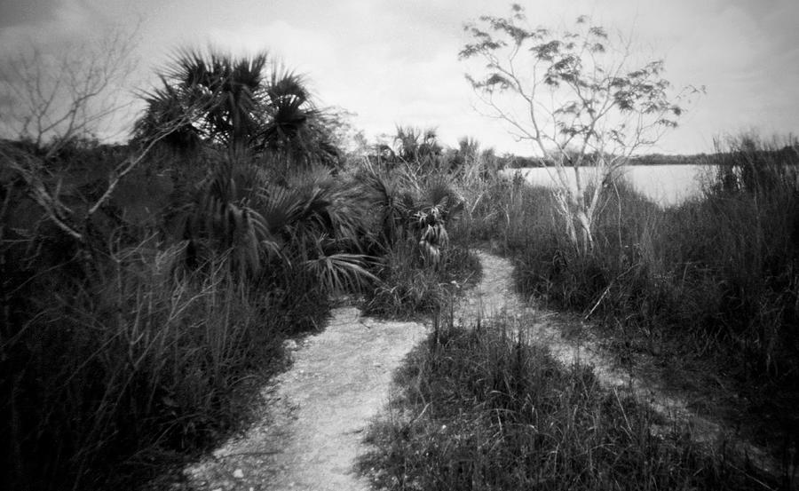 Everglades Lake-3 Photograph