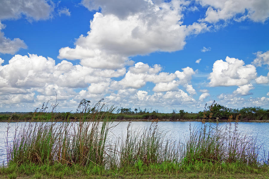 Everglades Lake 6853 Photograph by Rudy Umans