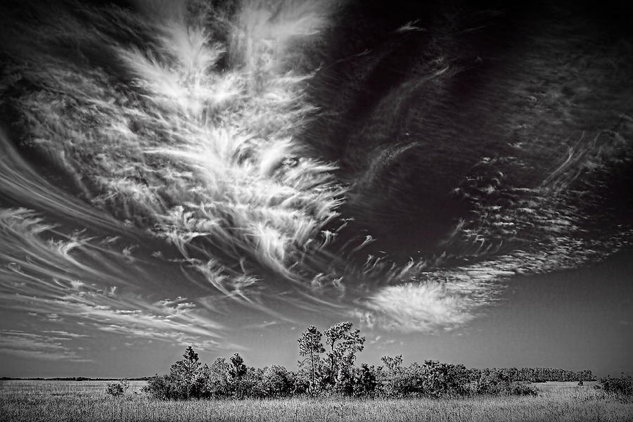 Everglades Cirrus Clouds 0803 Photograph by Rudy Umans