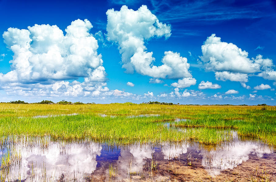 Everglades Landscape With Clouds Reflection Photograph