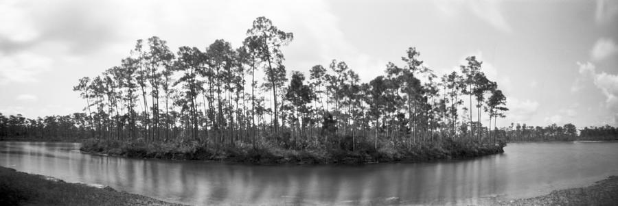 Everglades Long Pine Key-1 Photograph by Rudy Umans