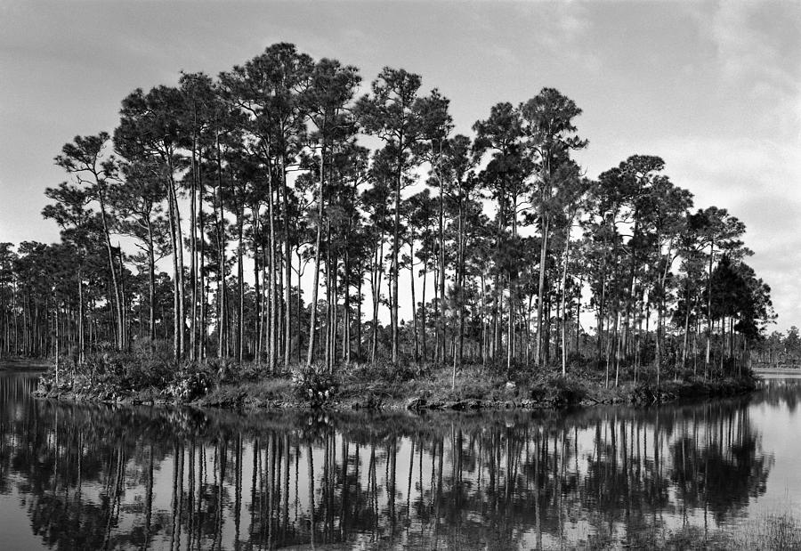 Everglades Long Pine Key-2 Photograph by Rudy Umans