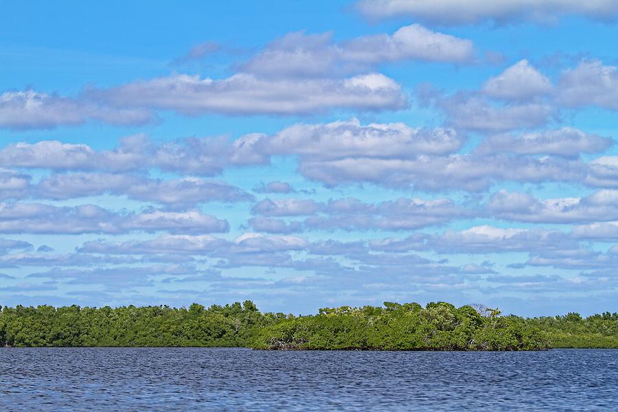 Everglades Mangrove Sky Photograph by Paul Rebmann