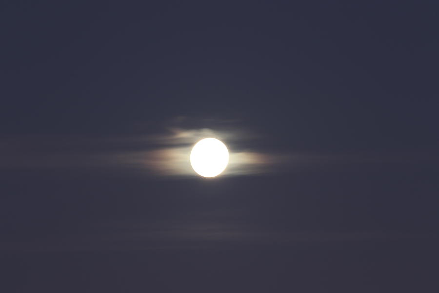 Everglades Moon by Blair Damson Everglades Moon by Blair Damson