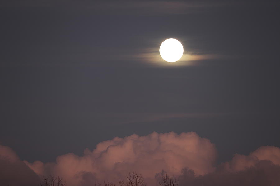 Everglades Moon Rising by Blair Damson Everglades Moon Rising by Blair Damson