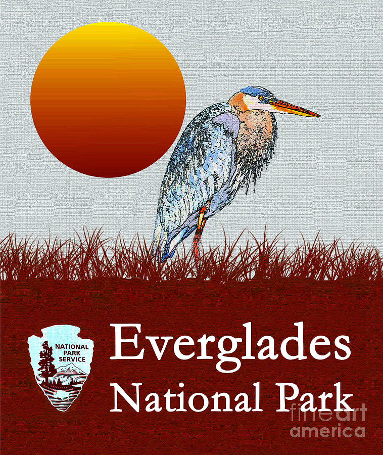 Everglades National Park Heron Work A Mixed Media