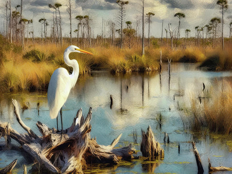 Everglades National Park Digital Art by HH Photography of Florida
