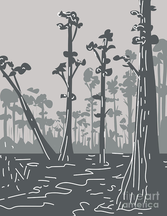 Everglades National Park in Florida Monoline Line Art Grayscale Drawing