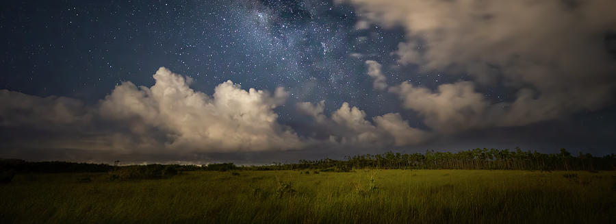 Everglades National Park Night Panorama Photograph by Mark Andrew Thomas
