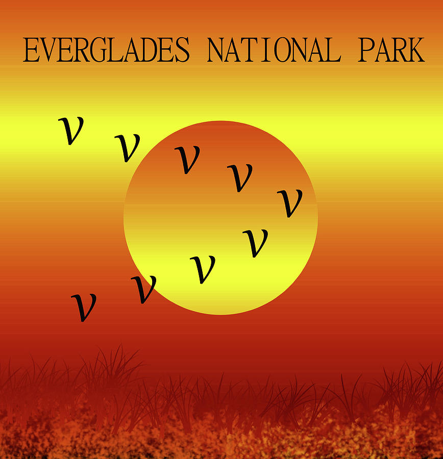 Everglades NP minimalism work A Mixed Media by David Lee Thompson
