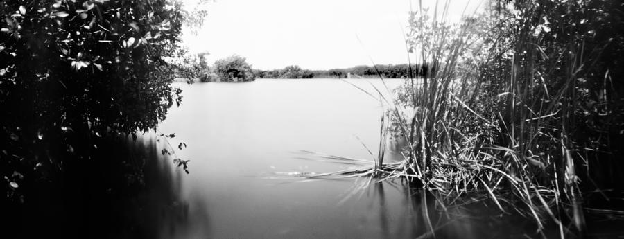 Everglades Paurotis Pond Photograph by Rudy Umans