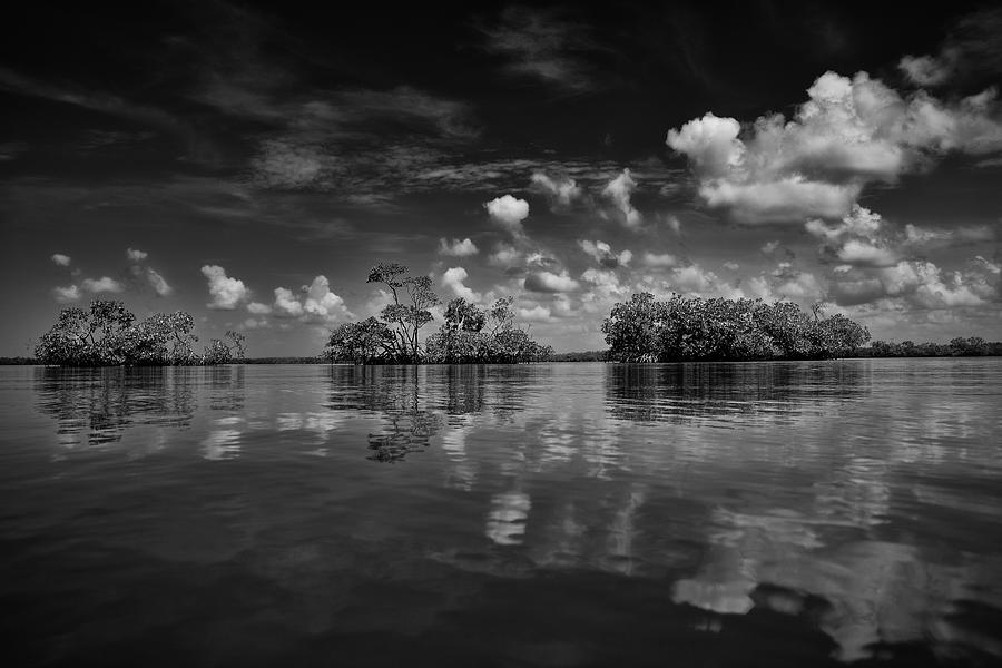Everglades Refection Photograph by Nick  Shirghio