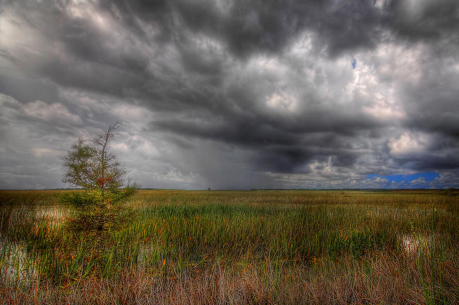 Everglades Storm Photograph by Rudy Umans