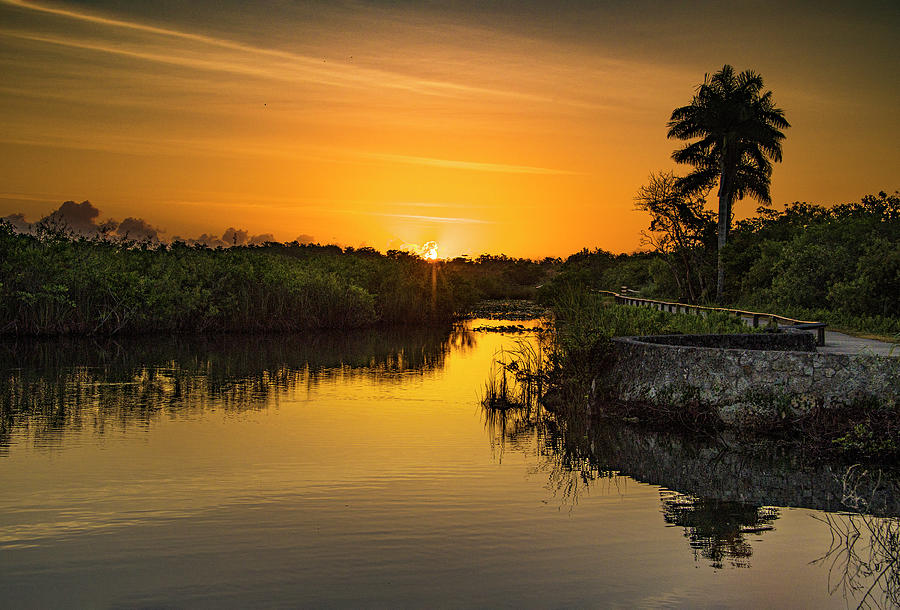 Everglades Sunrise Photograph by Gordon Ripley