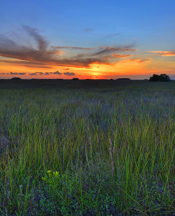 Everglades National Park Photograph - Everglades Sunset  by Stephen Vecchiotti