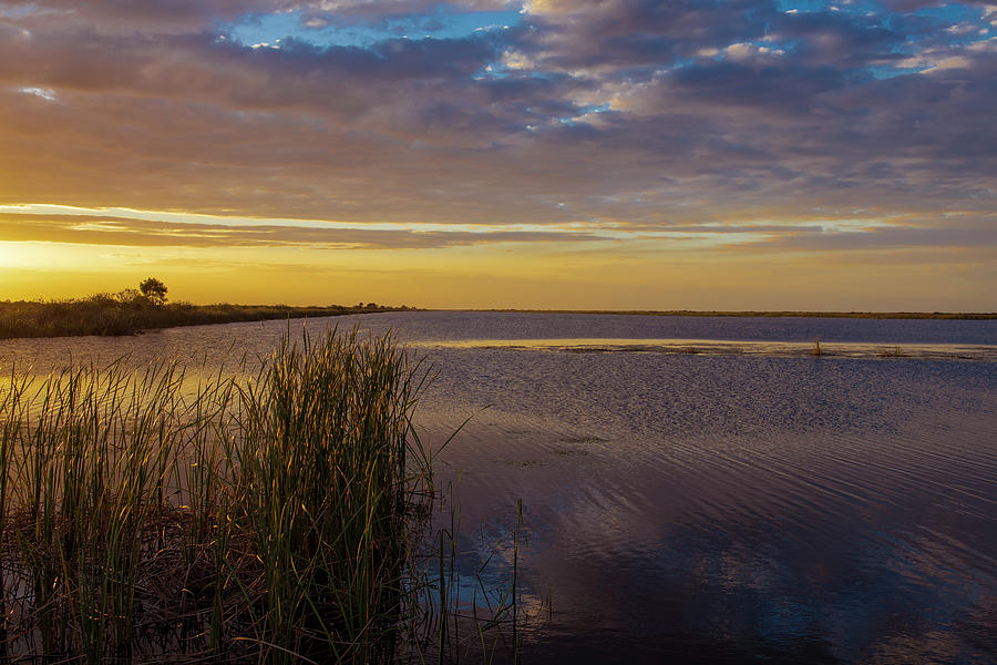 Everglades Golden Sunset Photograph by Blair Damson