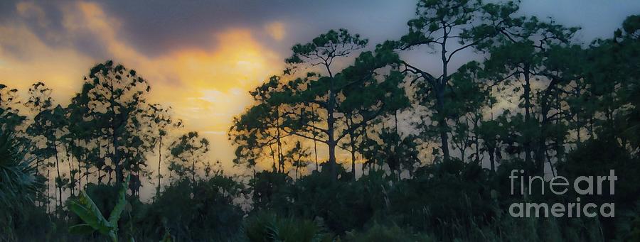 Everglades Sunset Digital Art by Patti Powers
