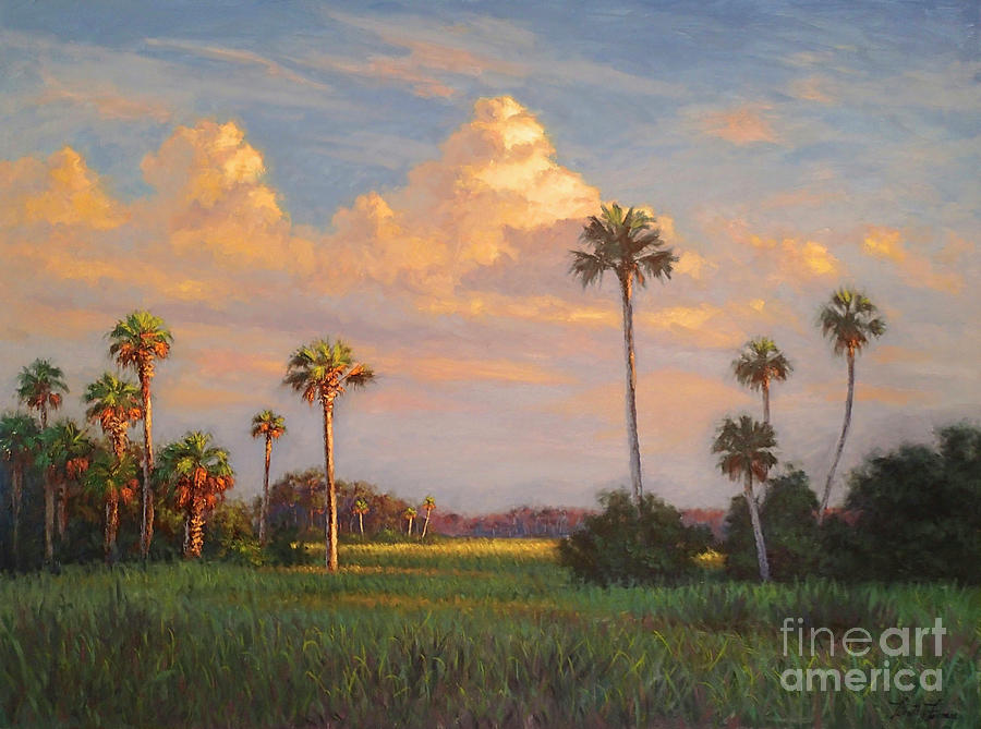 Everglades Sunset Painting by Tim Forman | Fine Art America