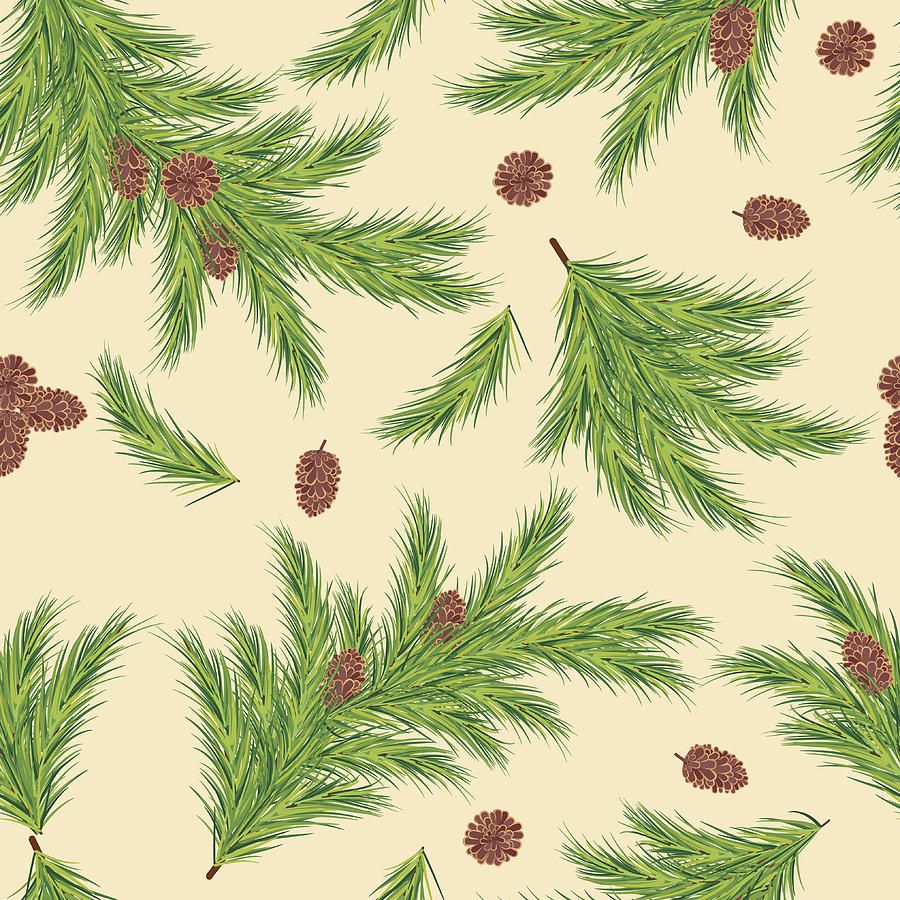 Evergreen Branches Seamless Pattern Drawing by Diane Labombarbe