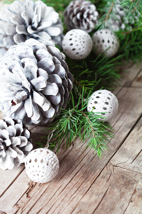 Evergreen fir tree branch and white pine cones closeup on woode Photograph  by Liss Art Studio - Pixels