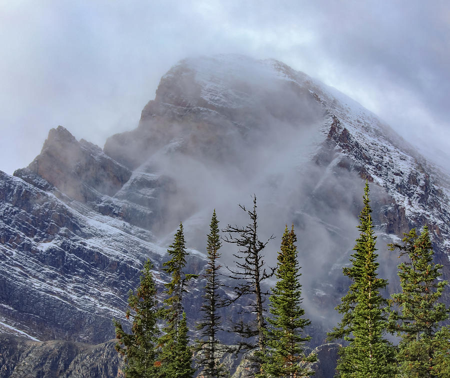 Banff National Park Photograph - Evergreen Mountain Peak by Dan Sproul