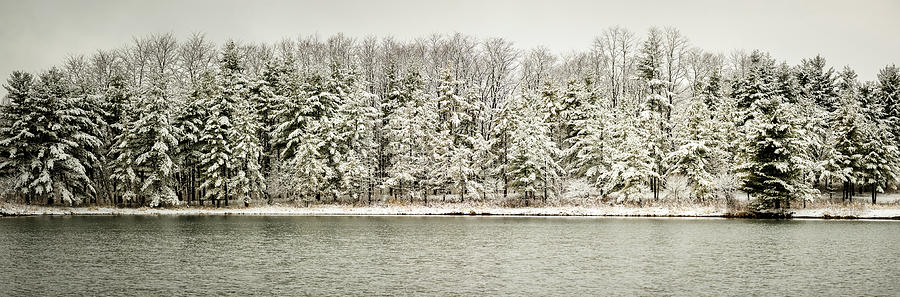 Evergreen Panaorama in Snow Photograph by Joni Eskridge