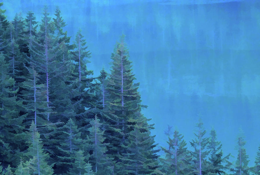 Evergreen Reflection Mixed Media by Dan Sproul