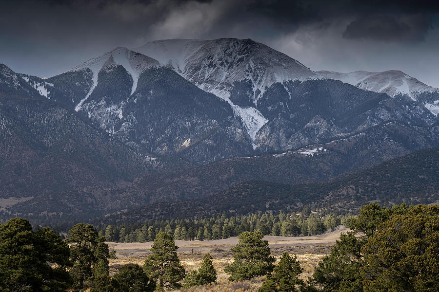 Evergreen Smoke Photograph by Jenn Bakker - Fine Art America