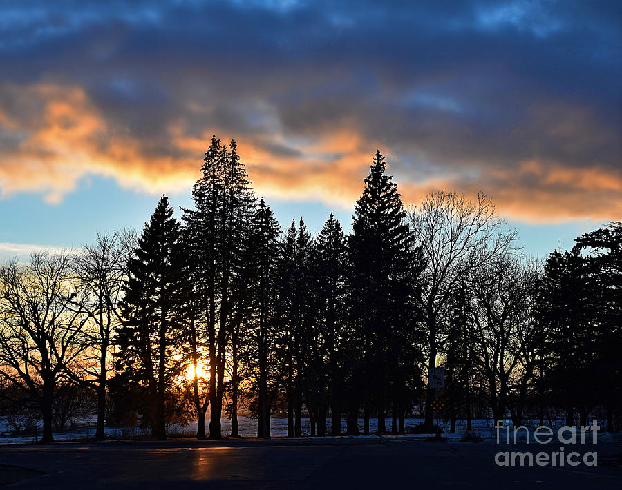 Evergreen Sunset And Blue Skies Photograph by Kathy M Krause