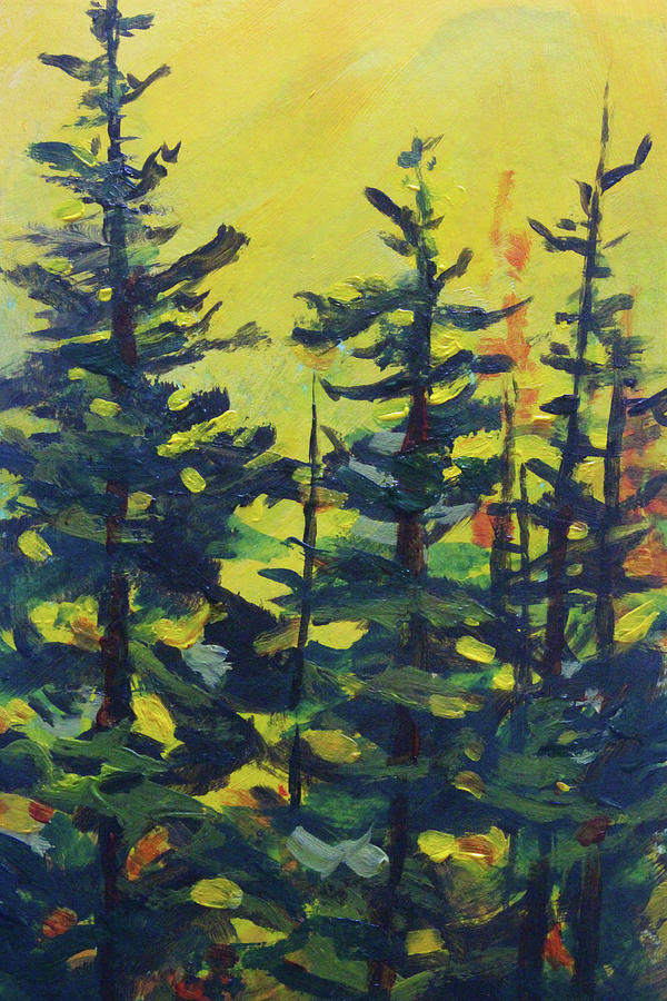Evergreen Sunset Painting by Nancy Merkle