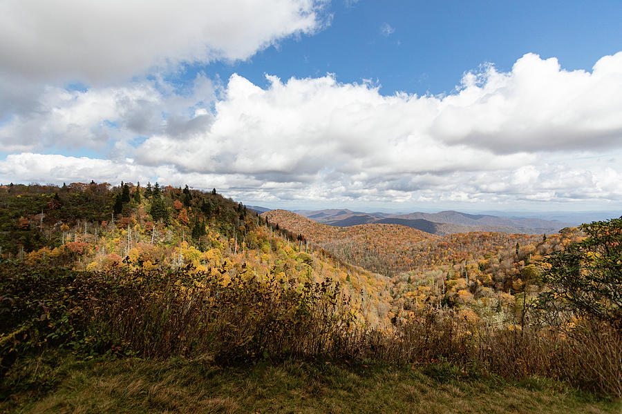 Evergreens and fall color on the Blue Ridge Parkway Photograph by Joni Eskridge