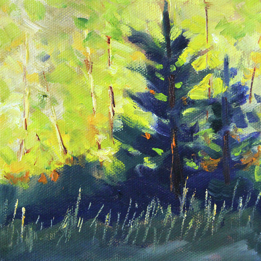 Evergreens and Sunshine Painting by Nancy Merkle