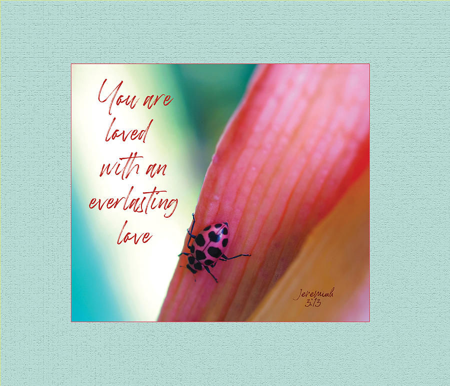 Everlasting love, Jeremiah, Pink ladybug Photograph by Denise Beverly
